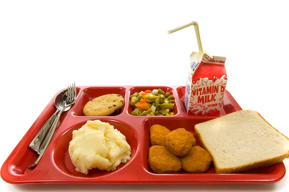 9-1/3 Lunch Trays