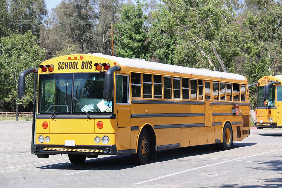 FAQs about school buses