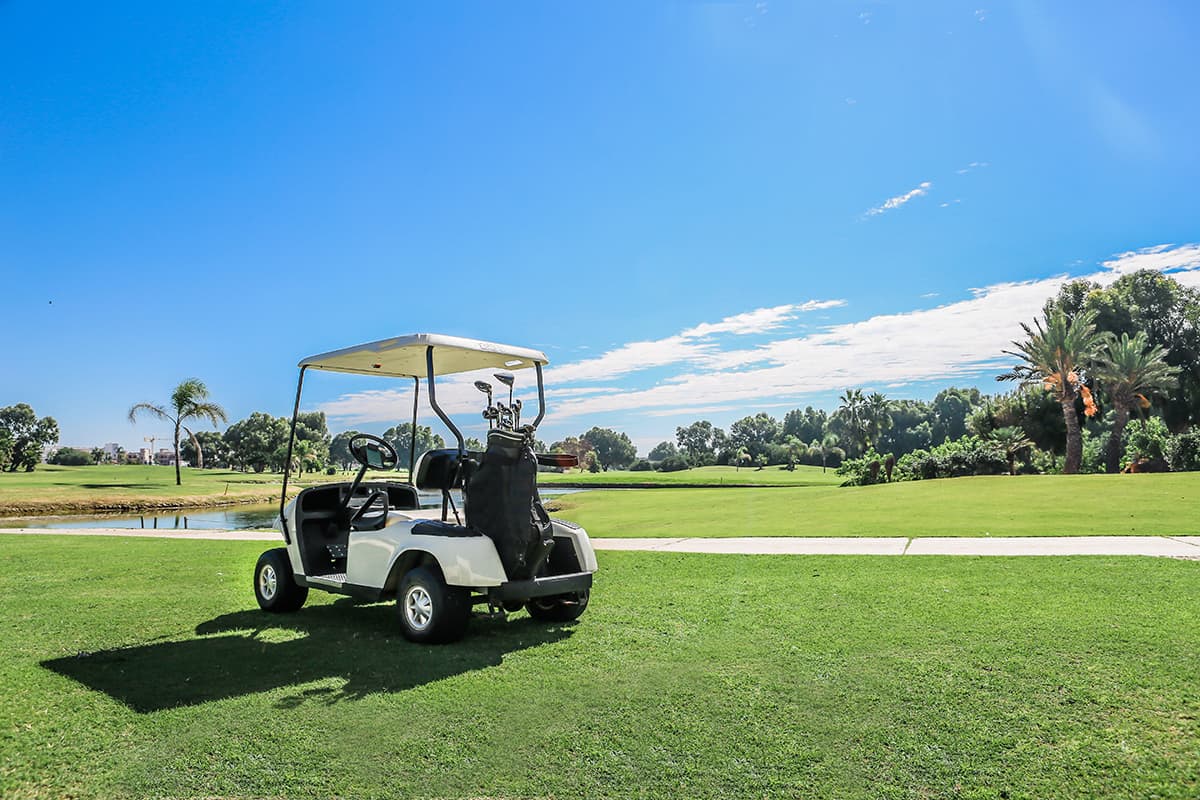 Standard Golf Cart Dimensions