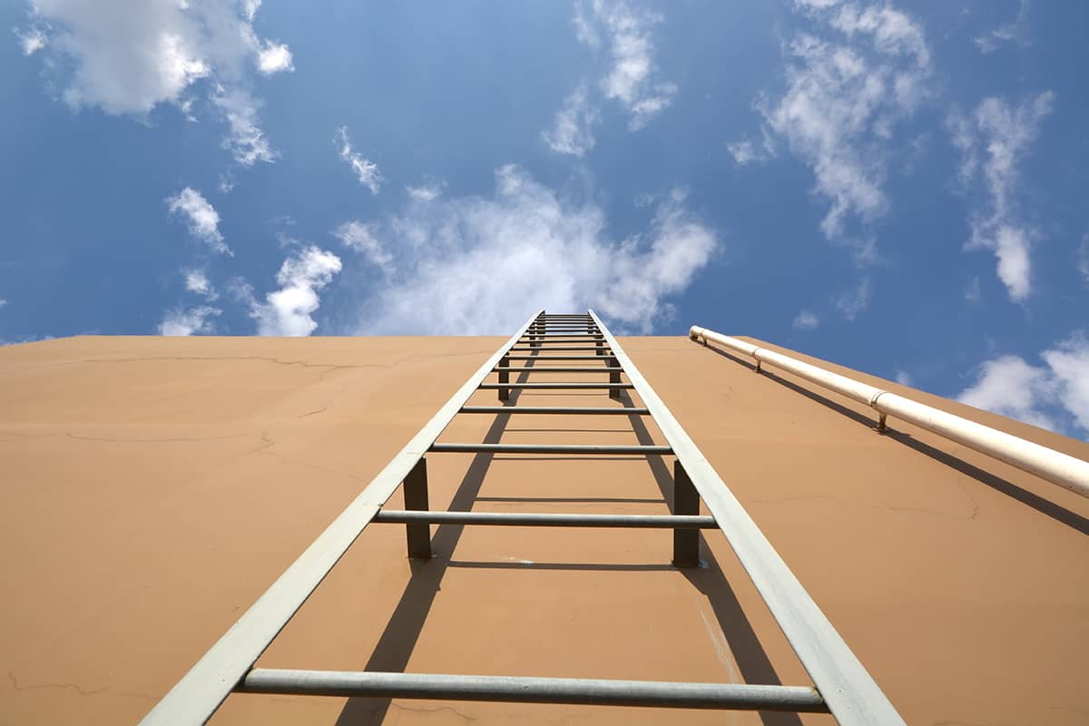 1 25-foot Ladder