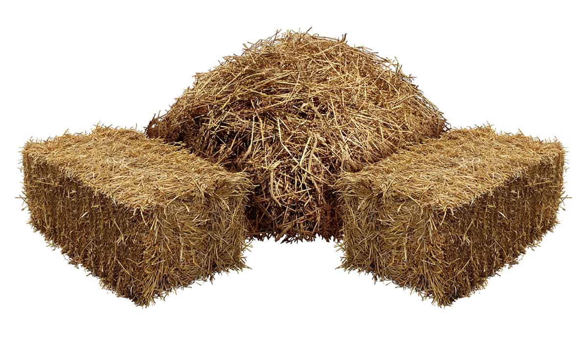FAQs About Hay Bales
