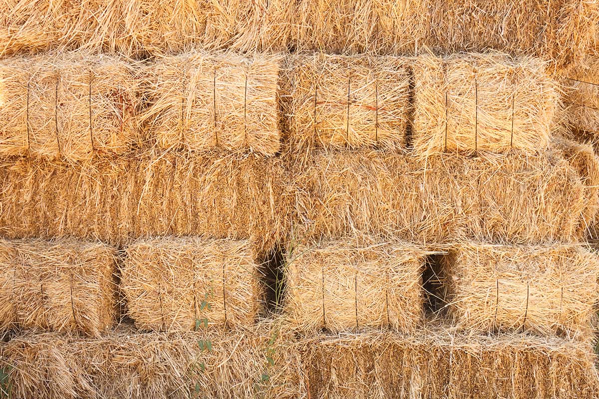 Hay Bale Types and Dimensions