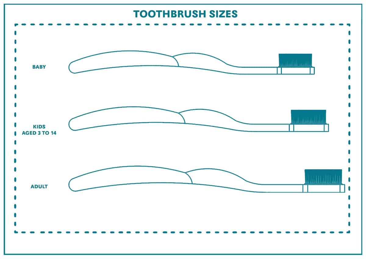 Toothbrush sizes