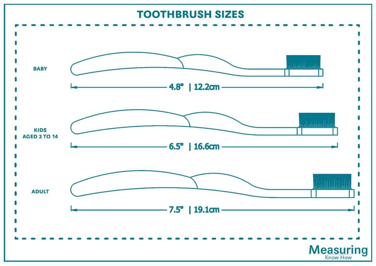 Typical Toothbrush sizes