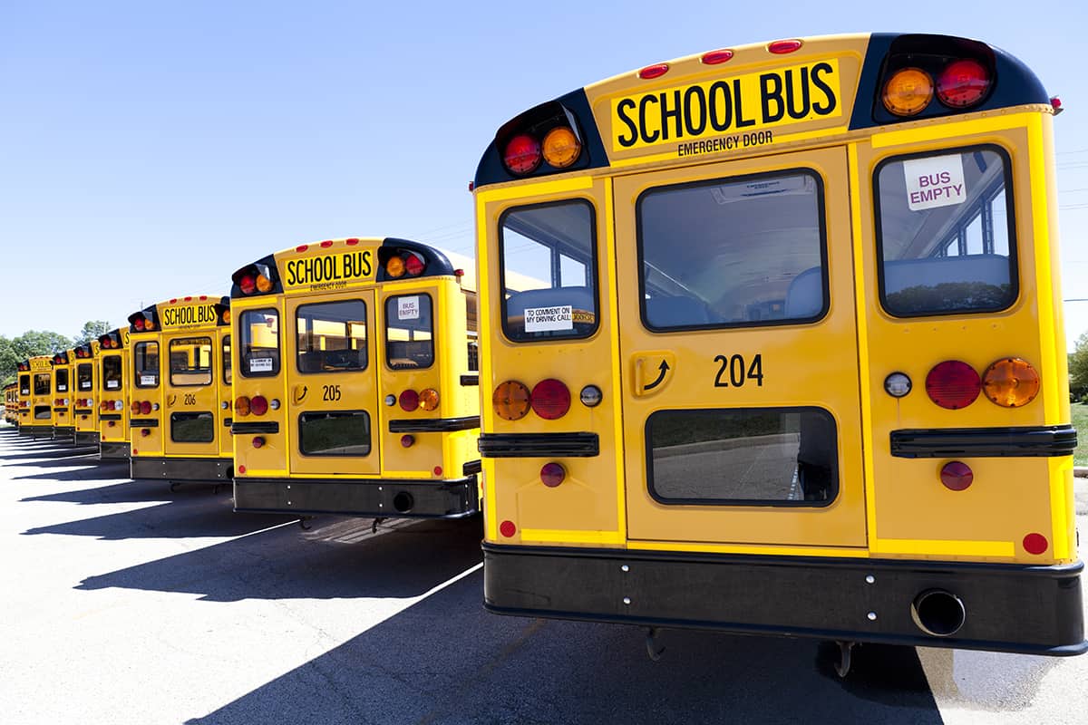 5 School Buses