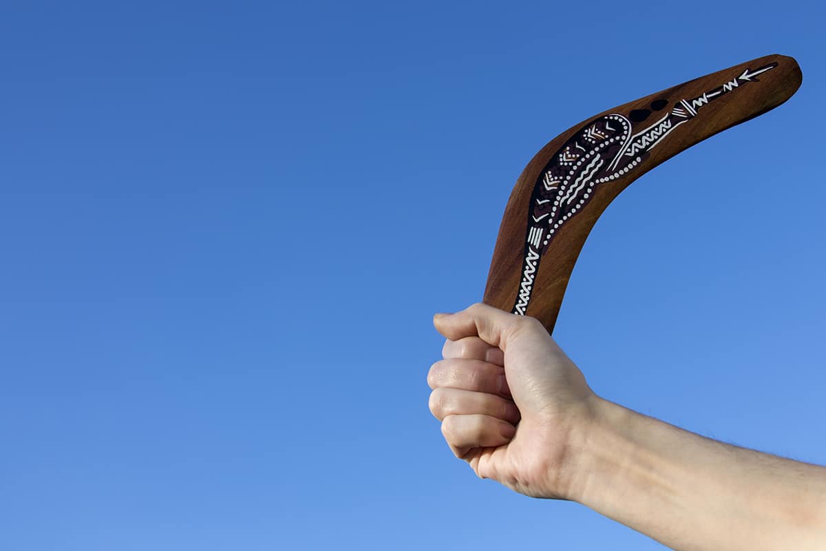 What Is a Boomerang?