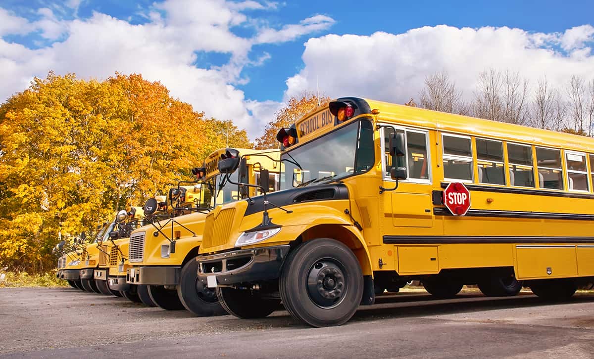 6 School Buses