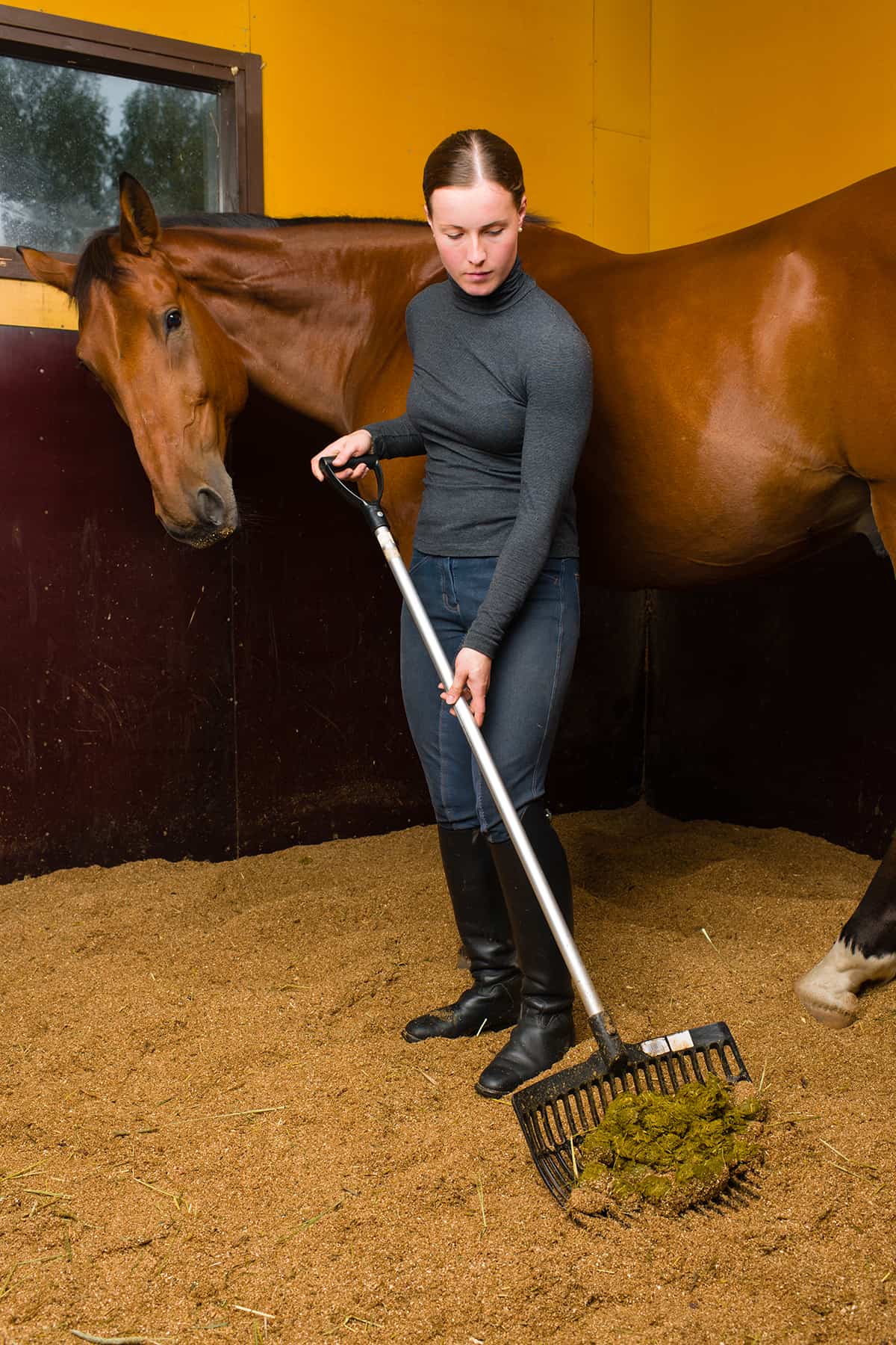How Often Should I Clean a Horse Stall
