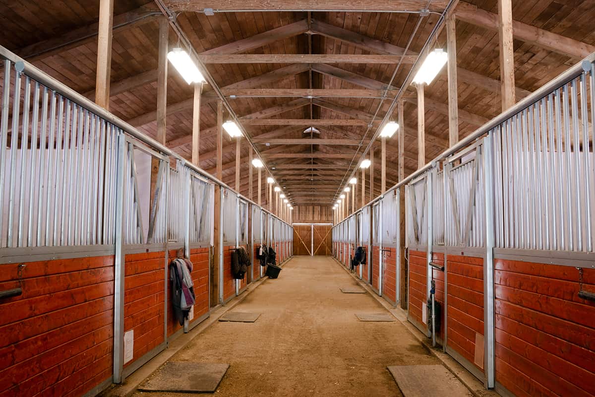 How Wide Are Horse Stall Doors