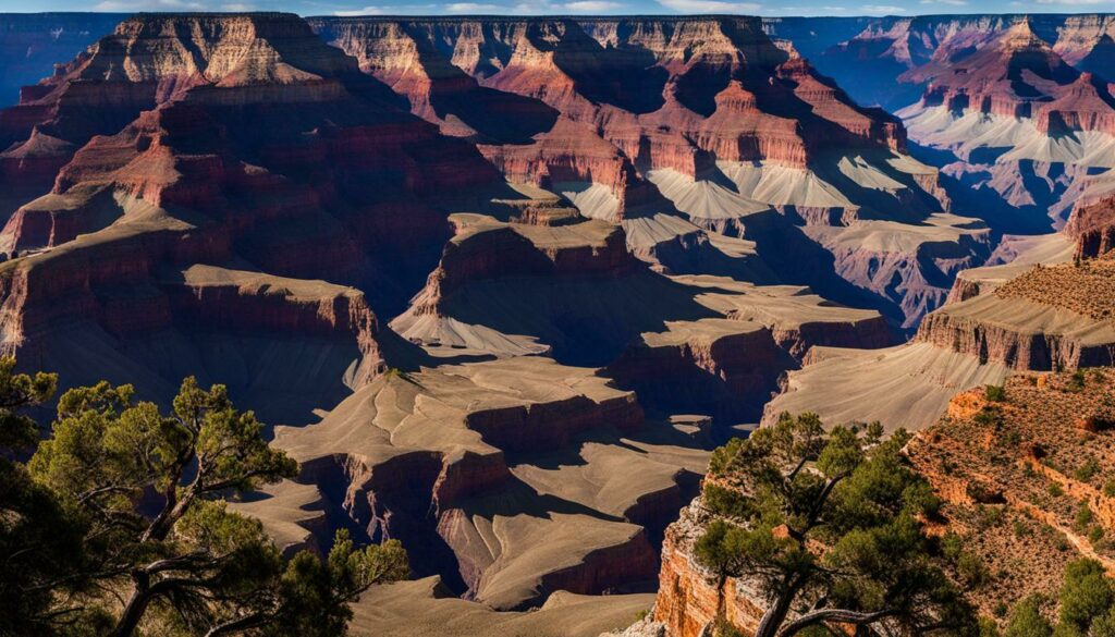 grand canyon preservation