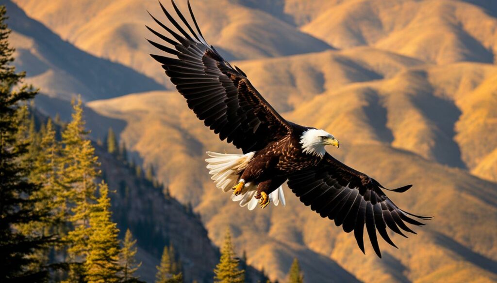 Bald Eagle and Golden Eagle flying over a mountain range